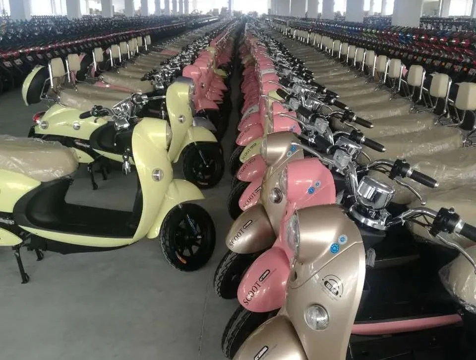 Hot Sale 2 Wheel 1001-2000W Electric Scooters 1000 Watt Electric Scooters