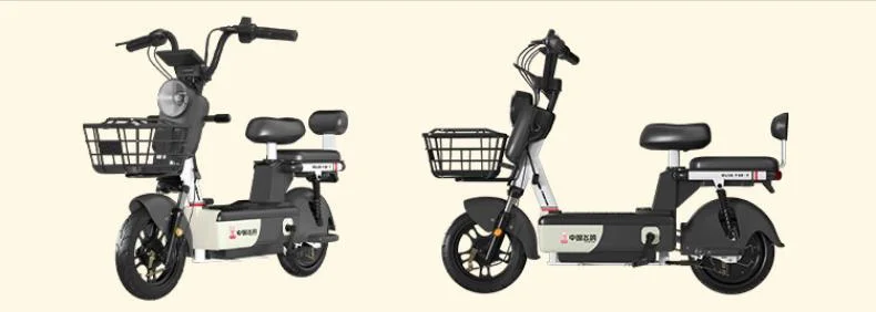 14 Inch 350W Rear Motor with 48V/20ah Lithium Battery LCD Panel Chopper Electric Bike