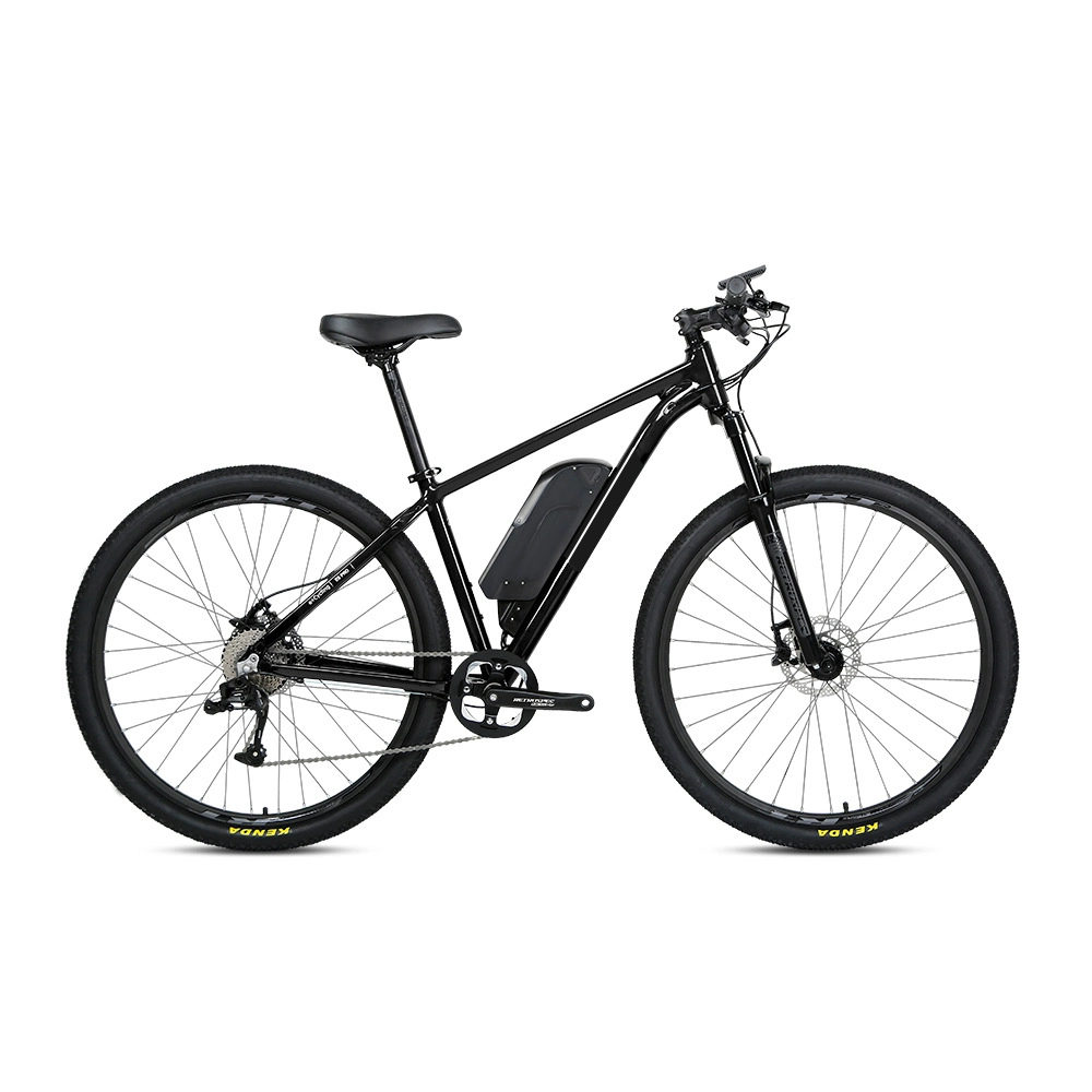 Galaxy Hot Sale Electric Bike Adult Mountain 29 Inch 350W E Bikes Electric Bicycle