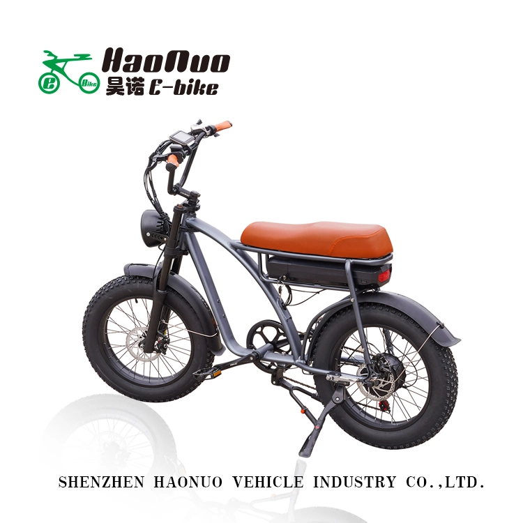 2023 New Model 26 Inch 48V 500watt Electric Bicycle