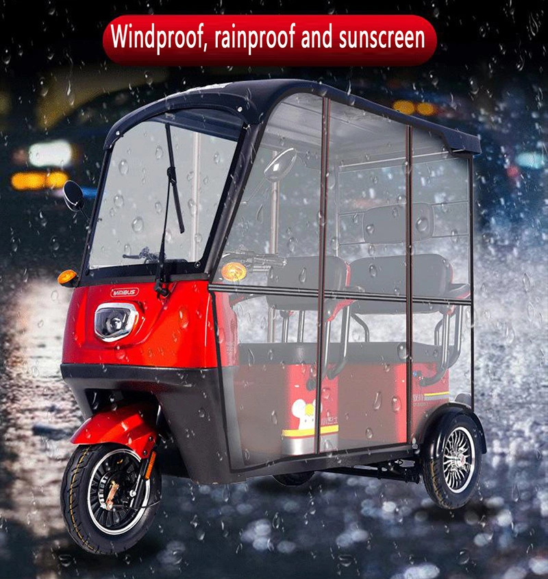 Adults E Trike 3 Wheel Cargo Bike Passenger Motorcycle Adult with Roof Electric Tricycles