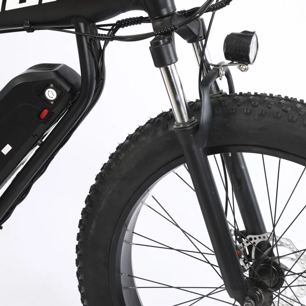 48W500W 750W Electric Bike Fat Tire Bike Fat Bike for Us Market Popular Electric Motorcycle