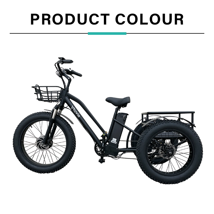 Factory Price 3 Speed Electric Tricycles Adults Cargo Vehicle