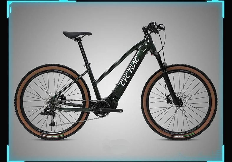 Newest Twitter Electric Bicycle Bafang MID Drive Electric City Bike Electric Mountain Bicycle