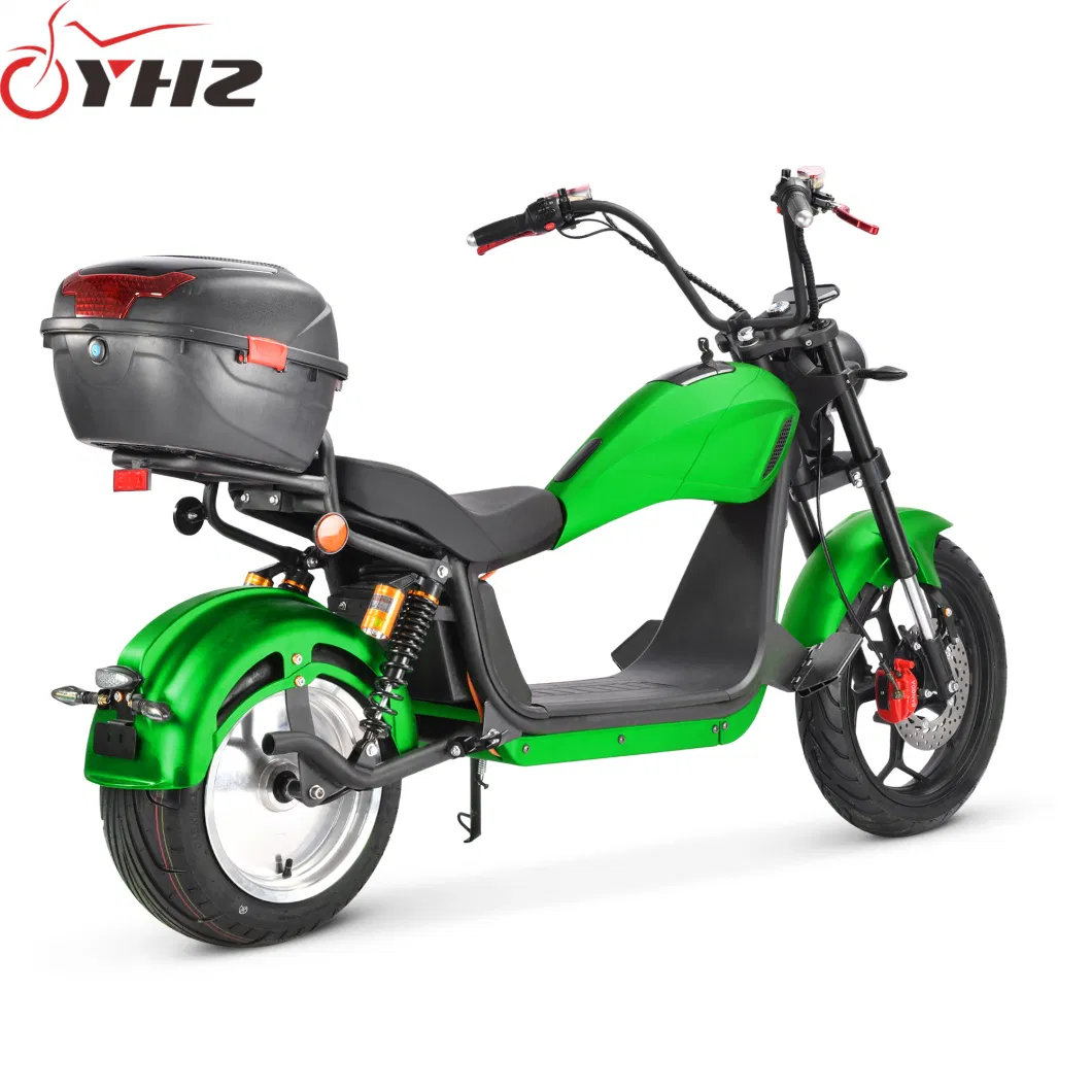 New Style Europe Road Legal Electric Bike 2000W Adult Chopper with EEC