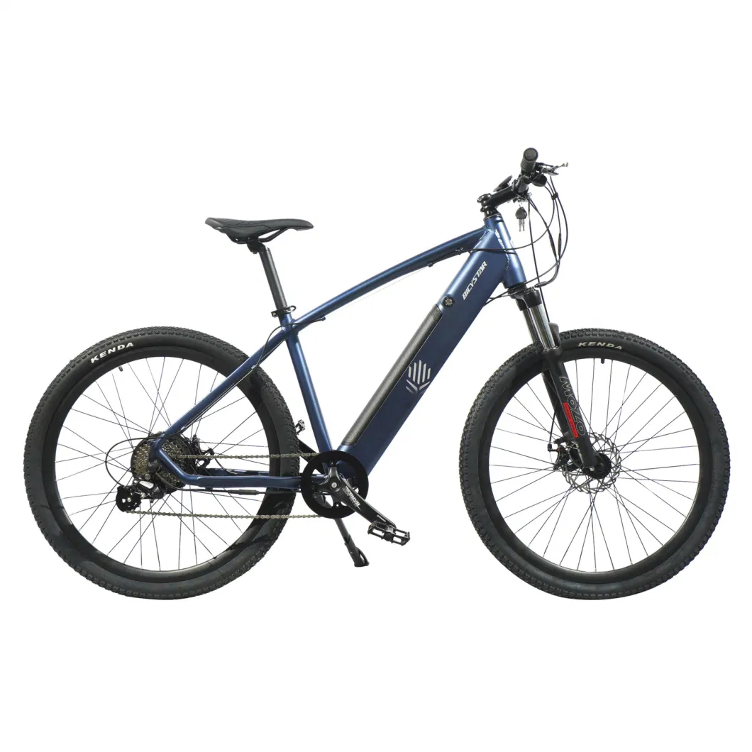 Adult Electric Bicycle Mountain Bike Aluminum Frame Bicycle