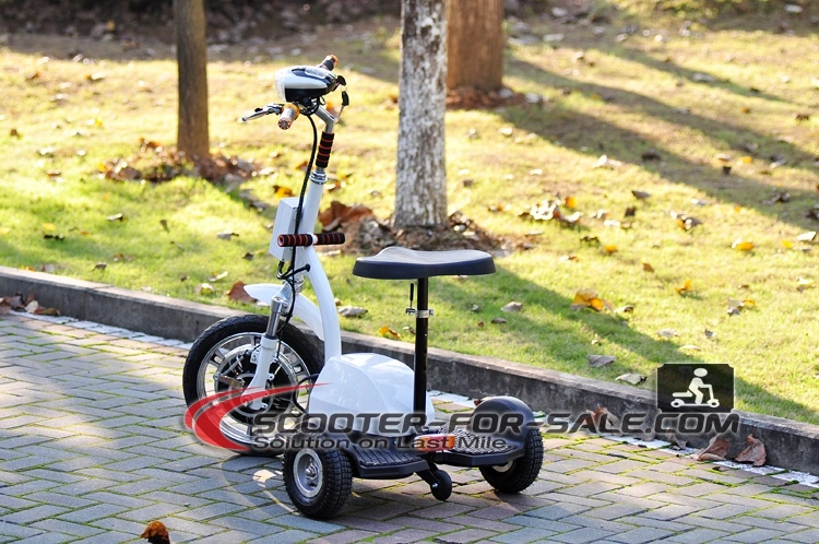 500W 800W 1000W Electric Tricycle 3 Wheeled Scooter