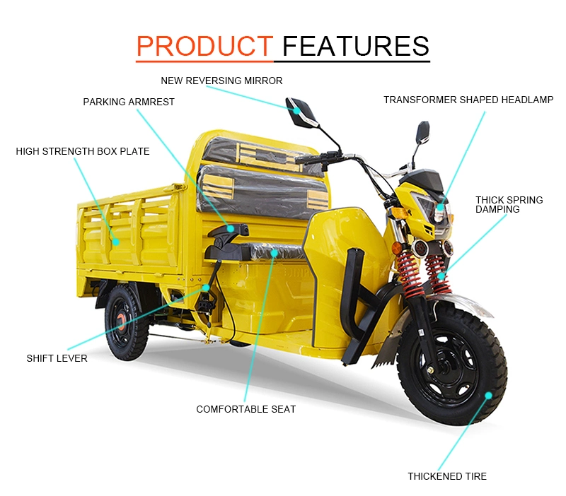 3 Wheel Electric Tricycle Electric Cargo Bike Motorized Tricycles Electric for Adults