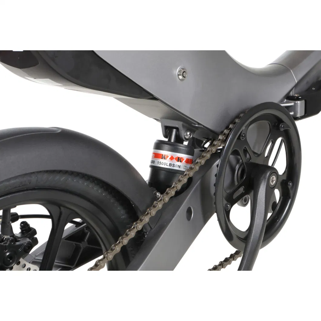 Brand New Folding Mini 16inch Tire Electric Ebike