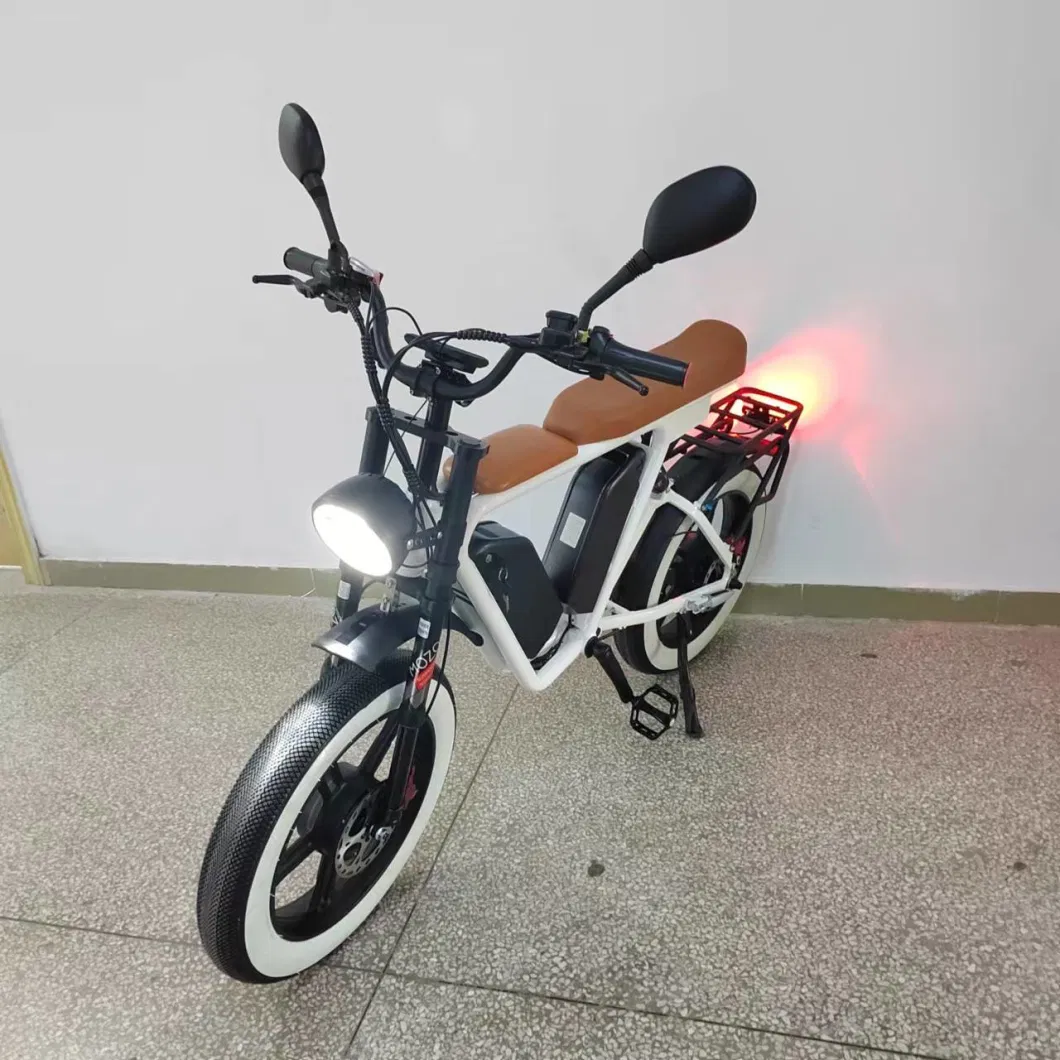 Dual Motor 2000W Double Battery 44ah/52V Electric Bike Ebike