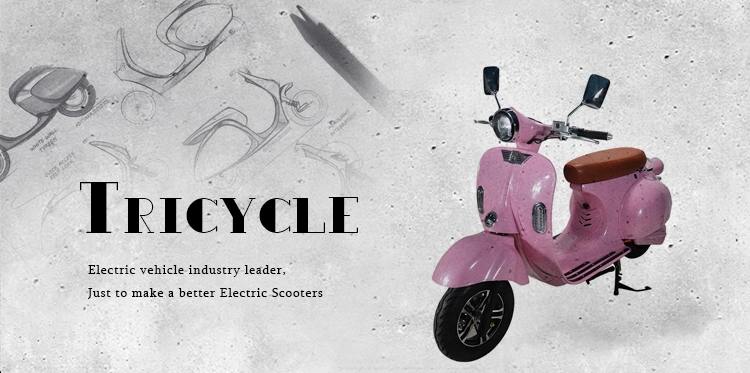 2021 Popular Product Hot Selling New Design Mobility EEC Vespa 2 Wheels Electric Bicycle Electric Scooter for Adults