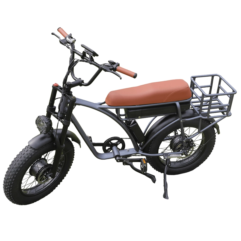 Electric Bike Adult Electric Bike with Pedal Cheap Price Electric Bicycle