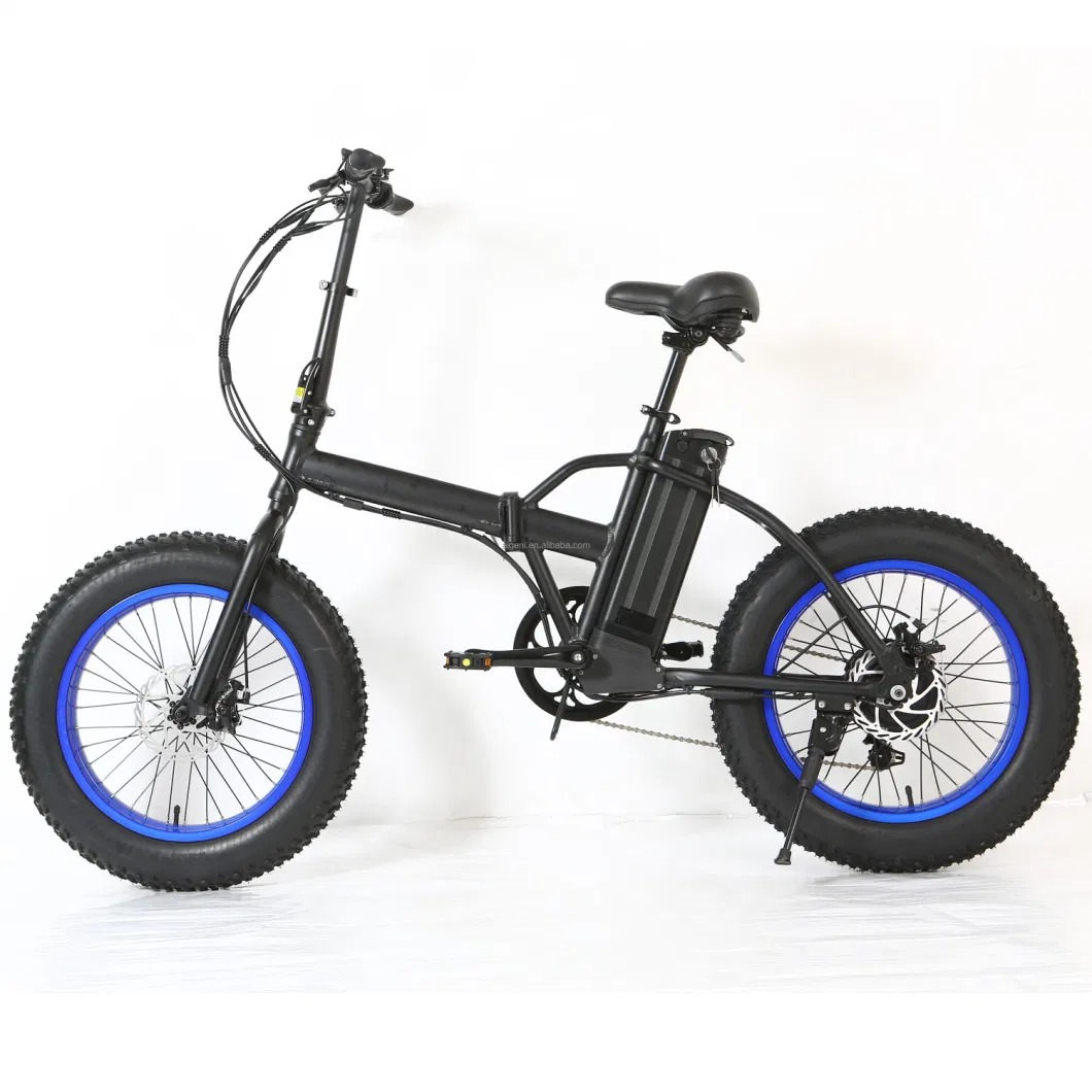 Strong Dark Color 48V500W750W Rear Hub Motor Electric Folding Bike Retail Wholesale E-Bike