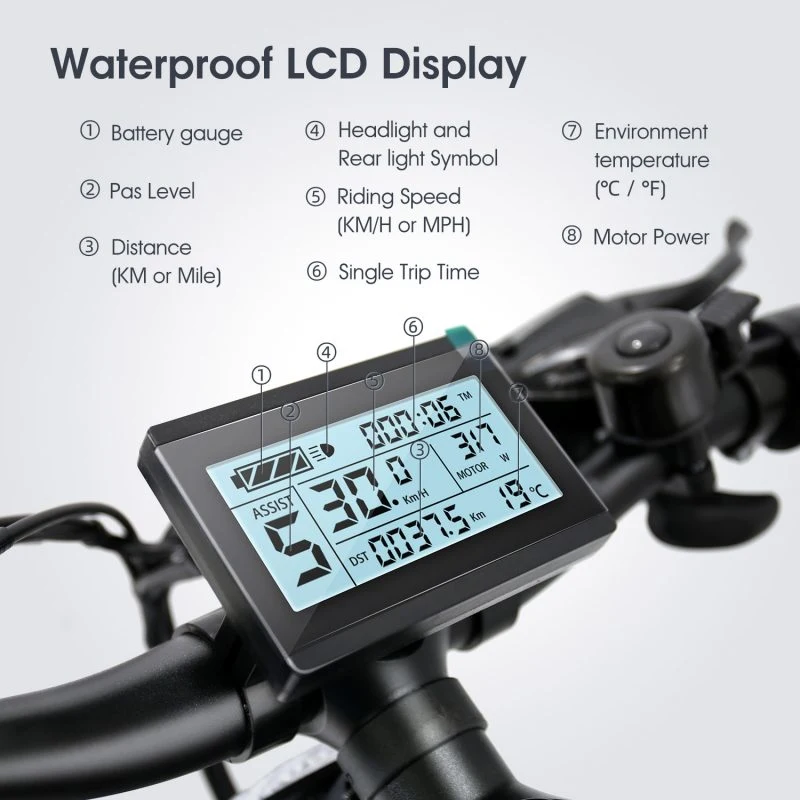 Light Weight Mountain Electric Bike 36V 250W Electric Cycle Electric Electric Air Pump for Cycle