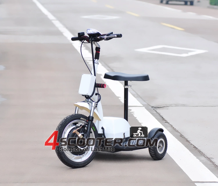 500W 800W 1000W Electric Tricycle 3 Wheeled Scooter