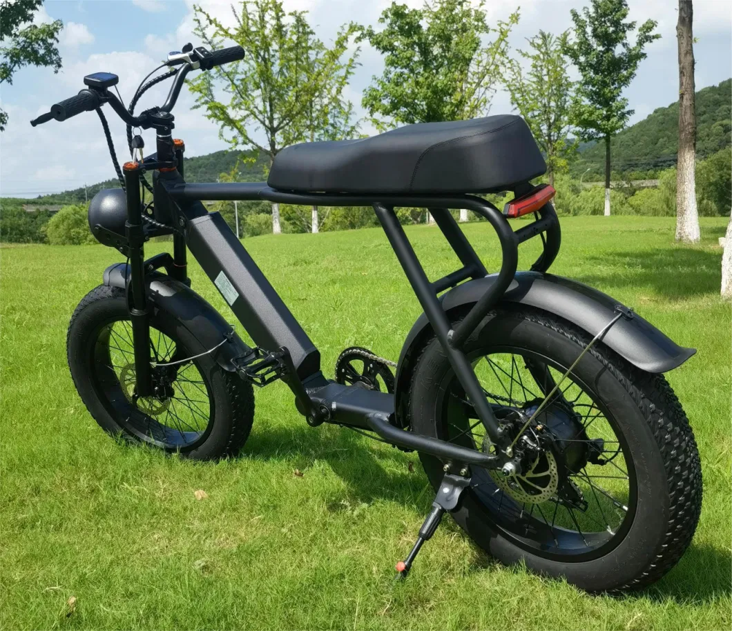 Fast Delivery Electric Bicycle Is Cheap 6-Speed 48V 500W Fat Urban Electric Bike Adult Outdoor 20 Inch