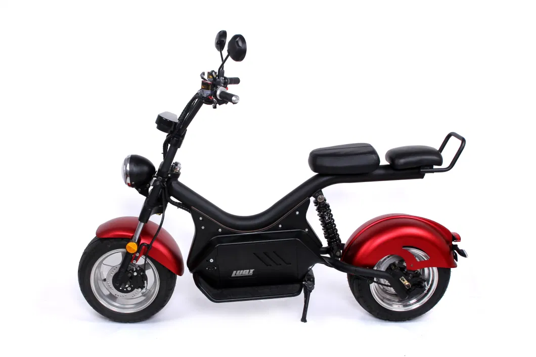 Manned E Bicycle Large Power Capacity Cheap Discount Well Service Safe Luqi Electric Scooters for Adult