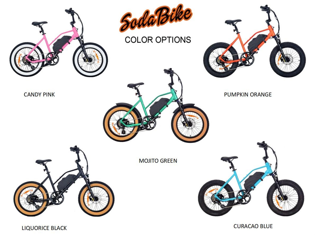 2023 Cute Ebik for Fun 48V Removable Lithium Battery Electric Bike