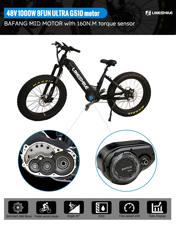 Electric Bike Factory 48V 1000W Ebike Electric Bicycle 50km/H Electric Fat Tire Bike Ebike