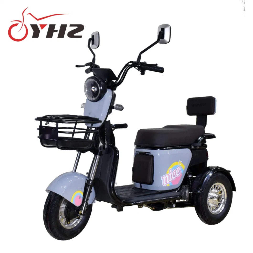 Mini Three-Wheel Electric Scooter Moped Dirt Bike 48V/60V 600W Motor