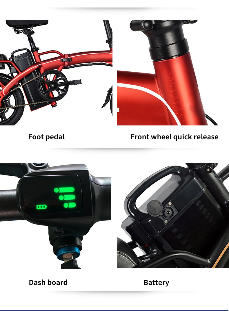 Factory Cheap 2-3 Hours Charging Time Pedal Assist Electric Bicycle Bike