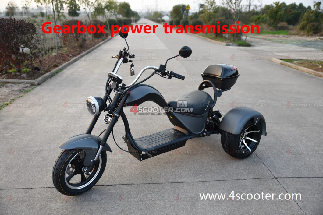 EEC 4000W 5000W Dual Match Citycoco Chopper Trike Scooter Three Wheel Electric Motorcycle