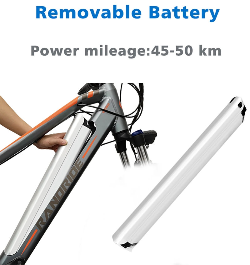Electric Bike 13.6A Waterproof Integrated Cable Electric Bicycle 48V 750W Motor Ebike