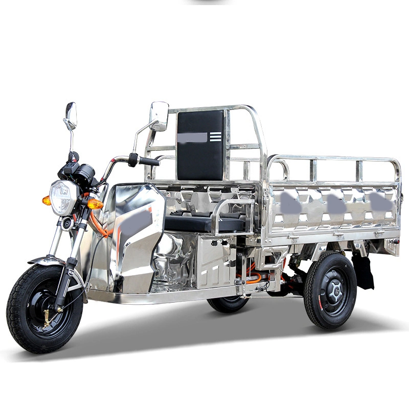 Cargo Tricycle Manufacturer Customization Electric Bike with Cabin for Cargo with Big Cargo Box