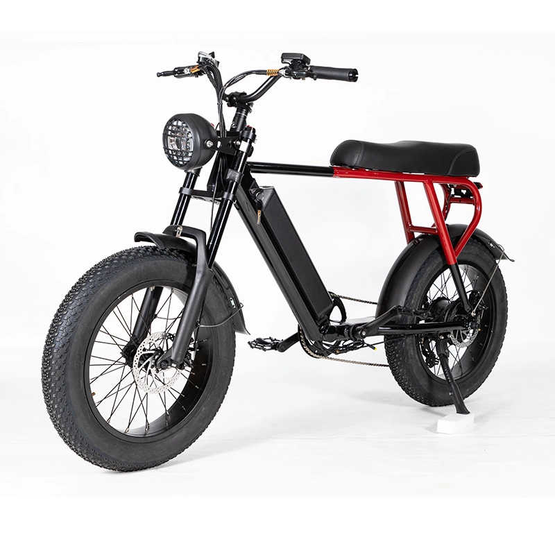Fast Delivery Electric Bicycle Is Cheap 6-Speed 48V 500W Fat Urban Electric Bike Adult Outdoor 20 Inch