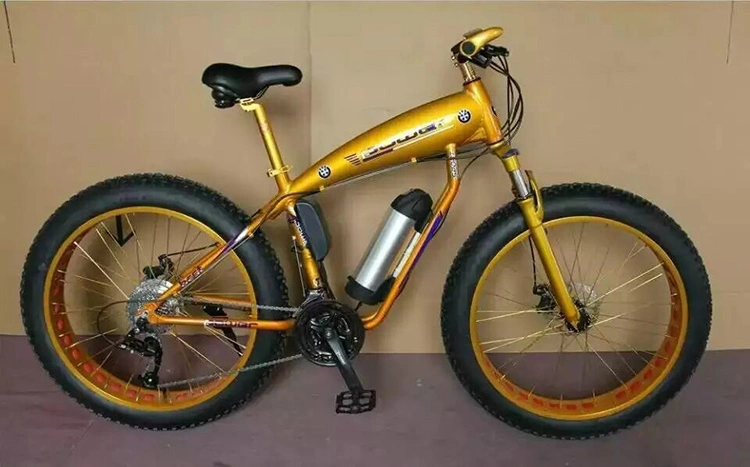 Electric Mountain Bike 1000W 48V 13ah Battery 26inch Spoked Wheels Fat Tire Electric Bicycle