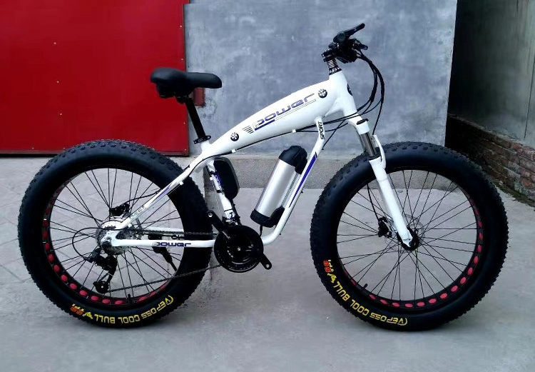 Electric Mountain Bike 1000W 48V 13ah Battery 26inch Spoked Wheels Fat Tire Electric Bicycle