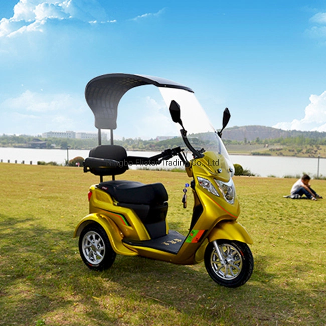 Mobility Scooter Electric Tricycle Adult Electric Trike