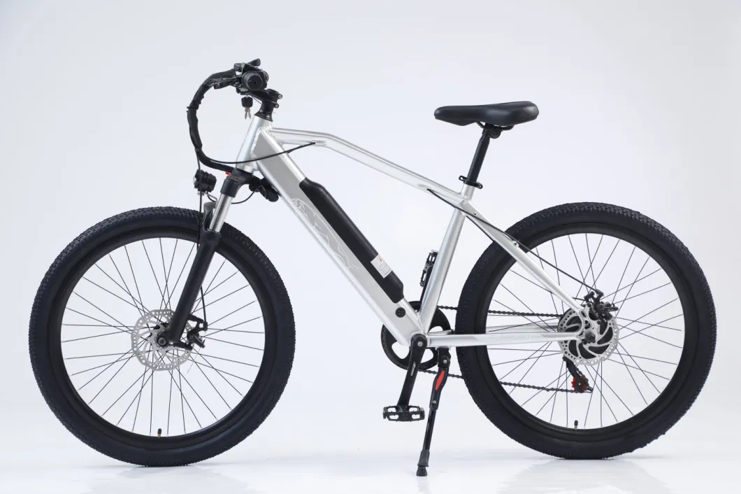 1500W Powerful Fat Tire 2 Wheels Fast Electric Bike Adult Electric Motorcycle Scooter Electric Citycoco