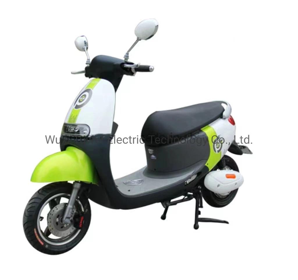 Gogo Electric Bike for Lady Use E-Scooter Long Distance