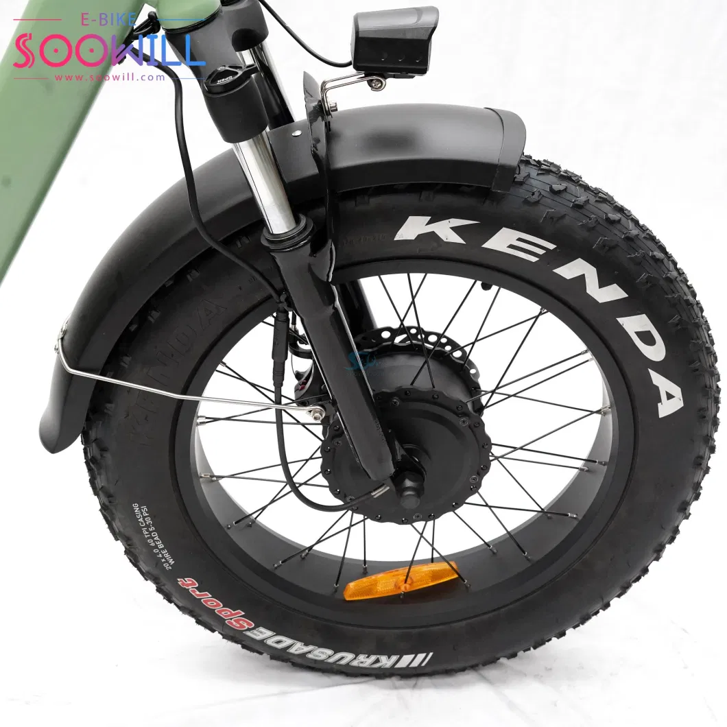 Microprocessor Other Tyre Fat Tire Adults 20 Inch Electric Tricycle with Seat