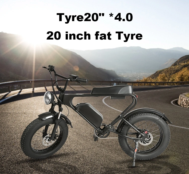 750W Fat Wheel Electric Bike 48V 17.5ah Electric Motorcycle 48V Electric Bicycle