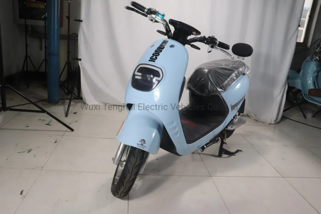 Chinese Warehouse High Quality Electric Scooter 1000W Electric Bike 48V for Adults
