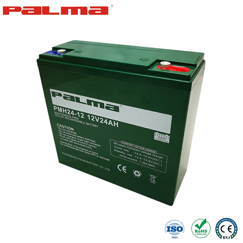 Palma AGM/Gel Battery 12V 24ah China Manufacturing Electric Bicycle Scooter Boat Wholesale Battery