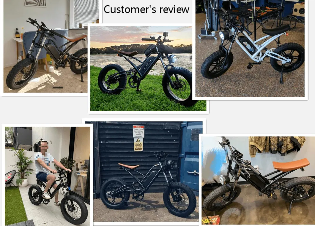 Custom Electric Bike 1000W Adult Bicycle Used Wholesale Price Long Range 48V China 250W EU Cargo Electric Bikes for Adults