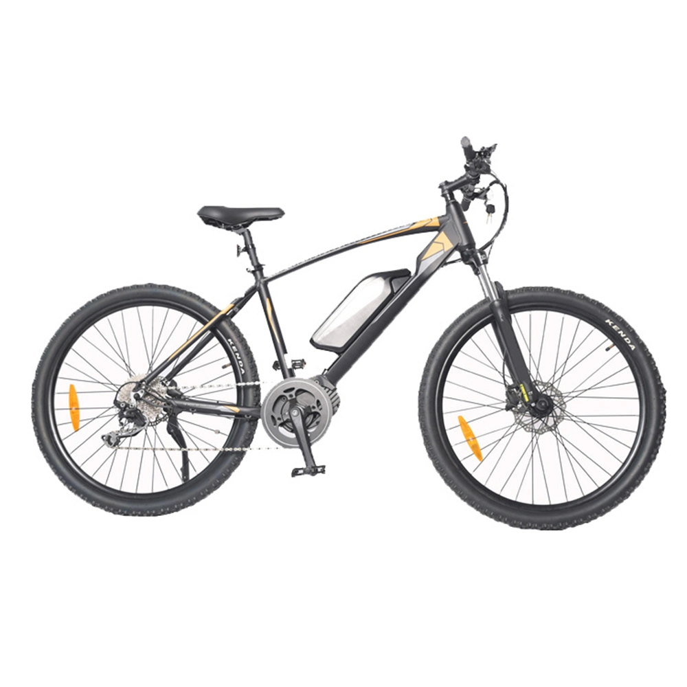 Best Electric Bicycle for City and Mountain Bycicle Electric Mountain Bike E Bicycle Mountain Bike