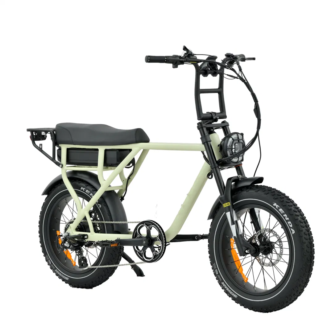 China Factory Sales 750W 1000W Rear Drive Fast Electric Mountain Bike Surron Retro Fat Ebike