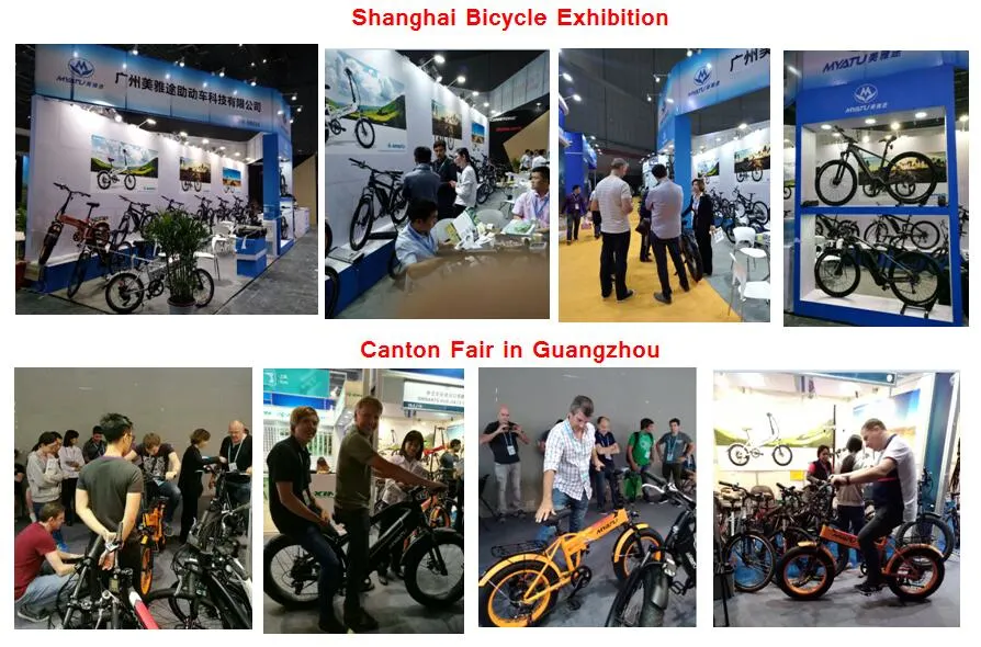 Buy Cheap Electric Bike Chinese 500W China Low Price Electric Mountain Bike