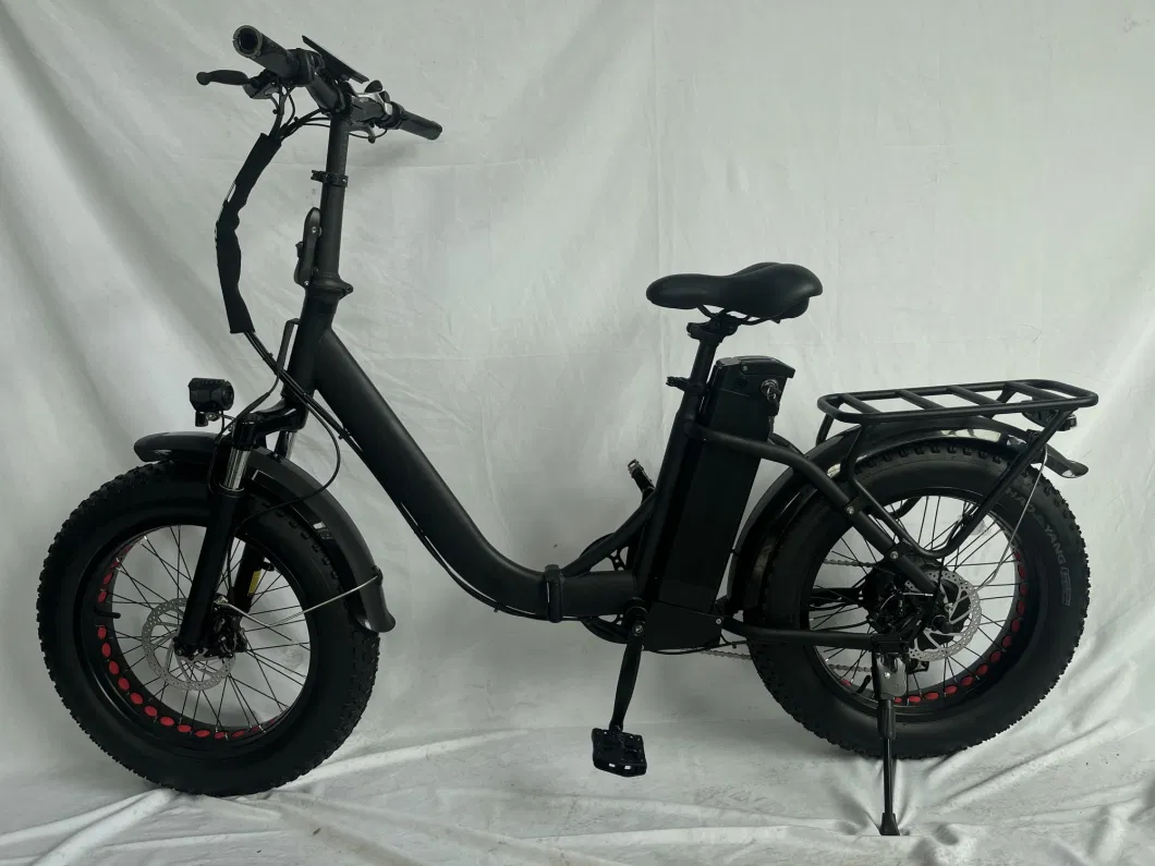 Saige 20 Inch Fold Able Electric Bike for Woman Lithium Battery Electric Bicycle