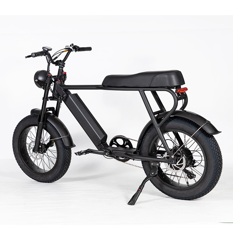 Wholesale Promotion Good Configuration Passenger Transportation 500W 48V Lithium Battery Electric Bicycle Ebike