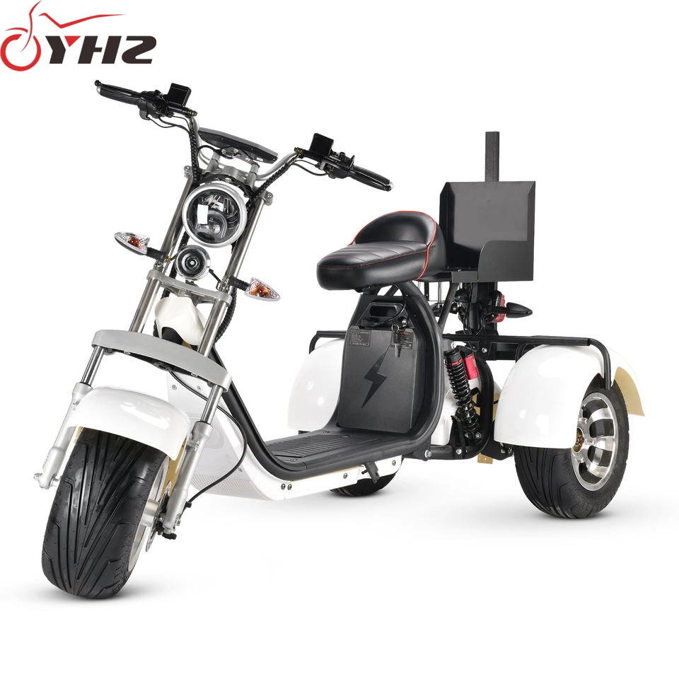 Adult 3-Wheel Electric Golf Bike 1500W 2000W Mobility Scooter with Bag Holder