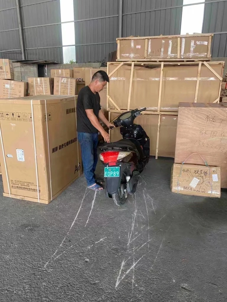 Long Distance Food Delivery Scooter Electric Adult 48V 800W Hub Motor Electric Cargo Bike Hydraulic Suspension Electric Moped