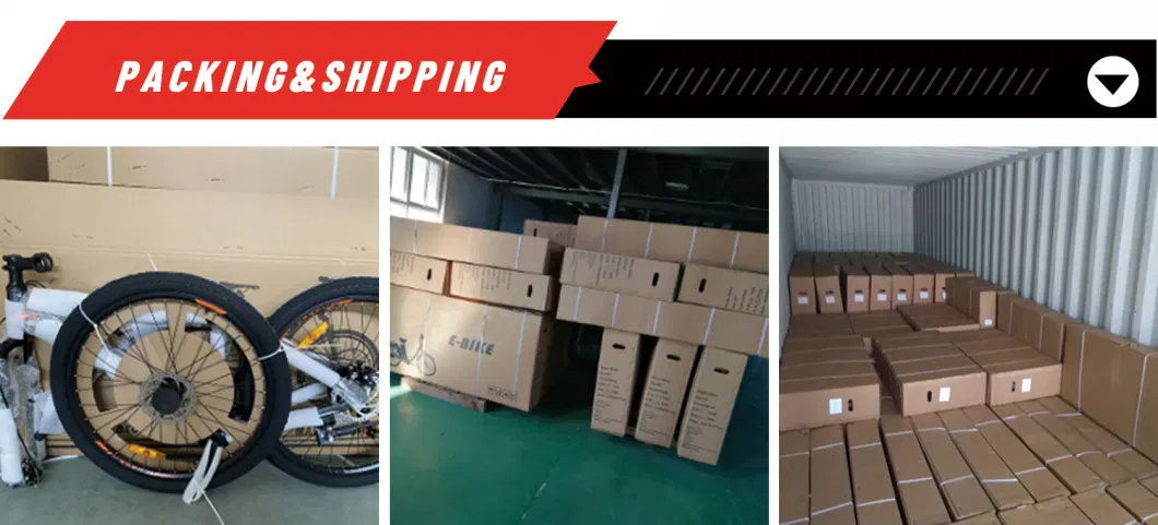 Factory Directly Sale E Bikes 2023 Cheapest Lead Acid Battery Electric Bicycle