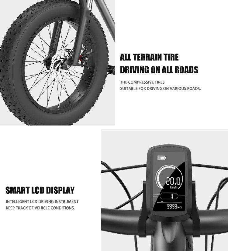 Latest Fashion 20 Inch New Fat Tire Aluminum Alloy Electric Bicycle Electric Bike