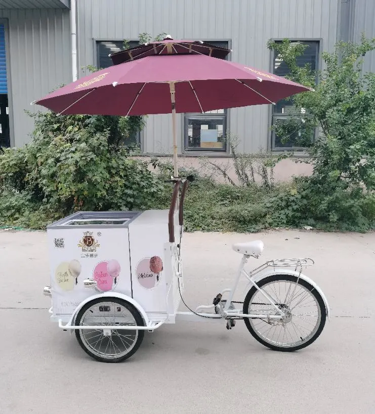 OEM CE Approved 3 Wheel Cargo Bike with Freezer Food Vending Carts for Sale Ice Cream Electric Tricycle