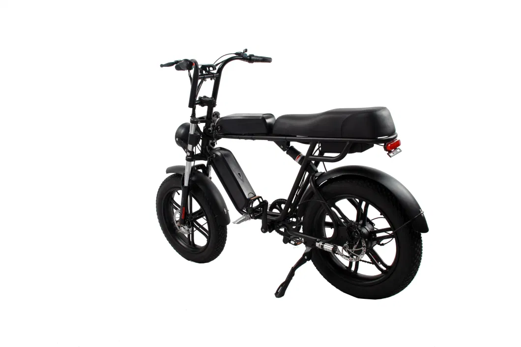 Popular High-End Commuter Electric Bikes Pedal Assist 48V 10.4ah Lithium Battery Mobility Ebike
